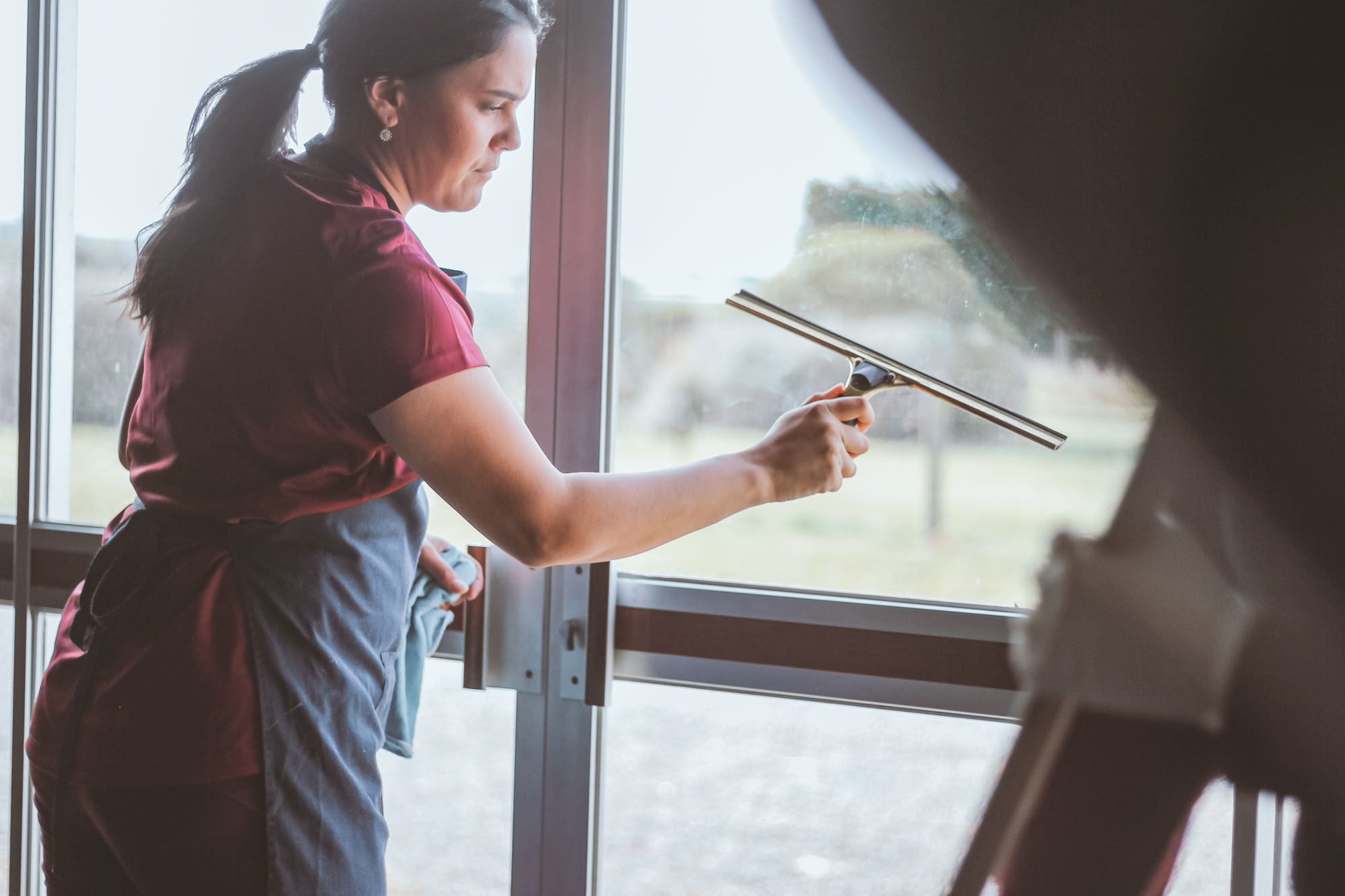 Girl Using Window Squeegee