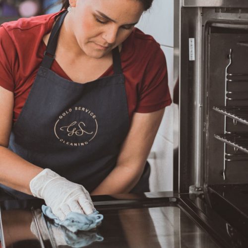 Girl Cleaning Oven Inside Door